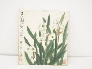 作家物「水仙」図　肉筆色紙